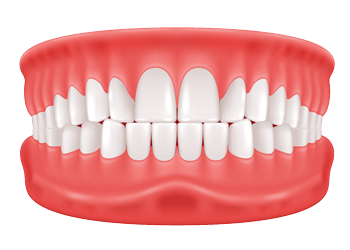normal bite
